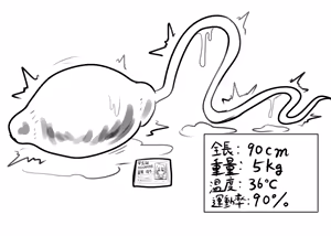 Page 803 of - Nizikuroryu - preview thumbnail