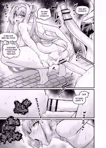 Page 3 of Britomart, Astolfo to Nakayoku naru | 브리토마트, 아스톨포와 친해지다 - preview thumbnail