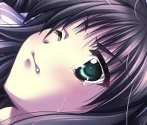 Page 800 of Kagura Gensoutan ~Ayakashi no Hime~ - preview thumbnail