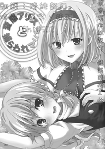Page 4 of Hentai Alice to Toraware Marisa - preview thumbnail