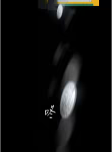 Page 1041 of 美丽新世界233-262END - preview thumbnail
