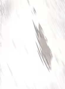 Page 1049 of 美丽新世界233-262END - preview thumbnail
