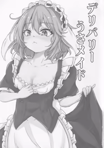 Page 2 of Delivery Usa Maid - preview thumbnail