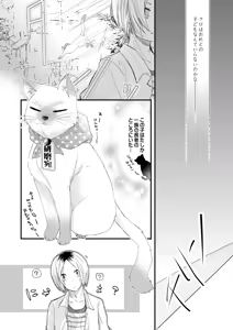 Page 9 of Kuroneko to Mikeneko no Shinkon Seikatsuroku - preview thumbnail