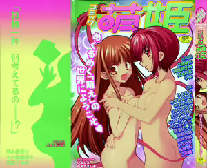 Comic Moe Hime — hentai manga cover on Fhentai