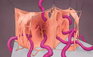 Page 659 of smutpirate - preview thumbnail