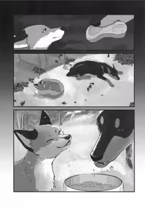 Page 8 of Fox and Good Dog - preview thumbnail