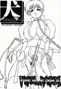 Page 3 of INU/AO Preface - preview thumbnail