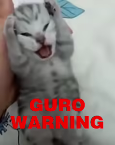 selfuse20250201 — hentai manga cover on Fhentai