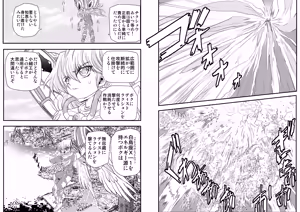 Page 3 of ShaladerD09 - preview thumbnail