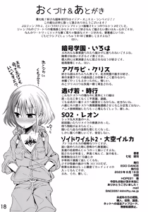 Page 18 of Ultra J2 - preview thumbnail