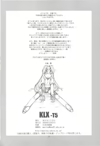 Page 22 of KLX-T5 - preview thumbnail