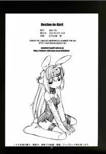Page 24 of Destino de Abril - preview thumbnail