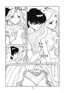 Page 26 of Higawari Obentou - preview thumbnail