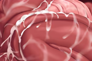 Page 379 of ALLENES - preview thumbnail