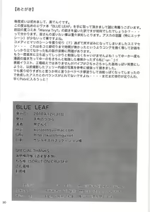 Page 30 of BLUE LEAF - preview thumbnail