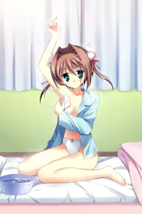 Page 549 of D.C.II ～ Da Capo II ～ (uncensored) - preview thumbnail