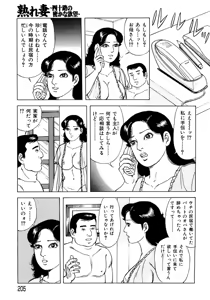 Page 196 of Ure Tsuma～ Yonjū-ro no Hisoka na Yokubō - preview thumbnail