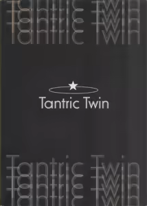 Page 35 of Tantric Twin - preview thumbnail