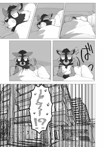 Page 2 of Complete Size - preview thumbnail