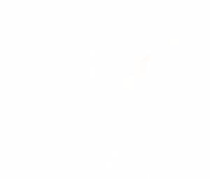 Page 1034 of - Templates - preview thumbnail