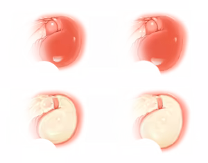 Page 1112 of - Templates - preview thumbnail