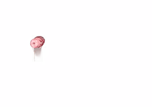 Page 131 of - Templates - preview thumbnail