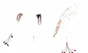 Page 1586 of - Templates - preview thumbnail