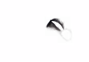 Page 1728 of - Templates - preview thumbnail