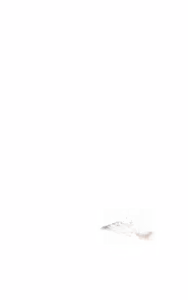 Page 1743 of - Templates - preview thumbnail