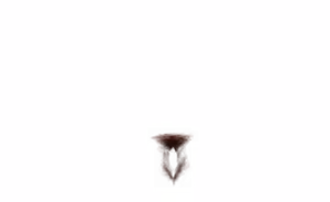 Page 1752 of - Templates - preview thumbnail
