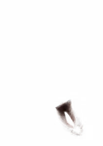Page 1757 of - Templates - preview thumbnail