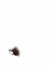 Page 1793 of - Templates - preview thumbnail
