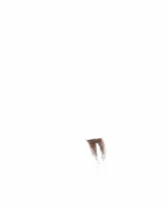 Page 1822 of - Templates - preview thumbnail