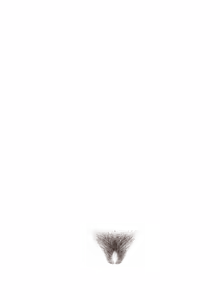 Page 1824 of - Templates - preview thumbnail