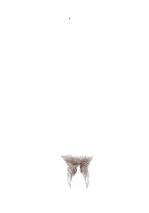 Page 1832 of - Templates - preview thumbnail
