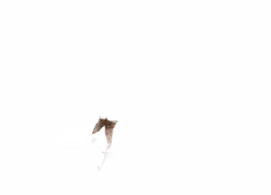 Page 1857 of - Templates - preview thumbnail
