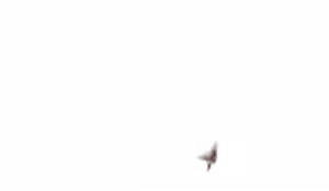 Page 1863 of - Templates - preview thumbnail