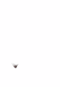 Page 1877 of - Templates - preview thumbnail