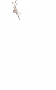 Page 1884 of - Templates - preview thumbnail
