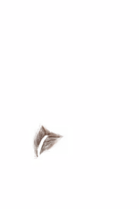 Page 1889 of - Templates - preview thumbnail