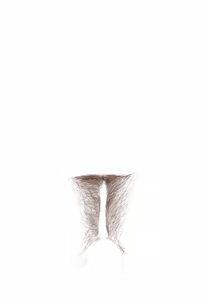 Page 1890 of - Templates - preview thumbnail