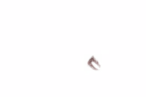 Page 1916 of - Templates - preview thumbnail