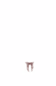 Page 1918 of - Templates - preview thumbnail