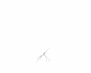 Page 1928 of - Templates - preview thumbnail