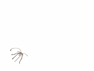 Page 1946 of - Templates - preview thumbnail