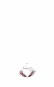 Page 1955 of - Templates - preview thumbnail