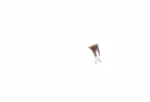 Page 1958 of - Templates - preview thumbnail