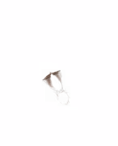 Page 1960 of - Templates - preview thumbnail