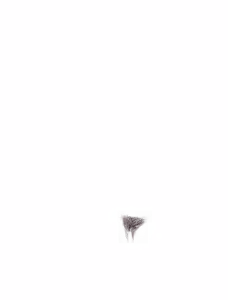 Page 1965 of - Templates - preview thumbnail
